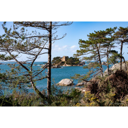 Ploumanach 003