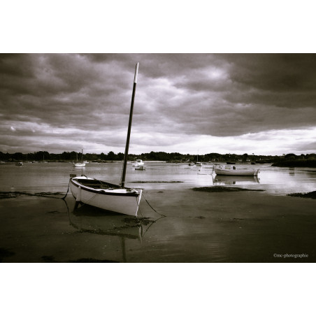 Bateau marée basse Tregastel