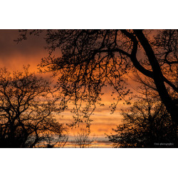 Coucher 002