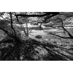 Ploumanach-005