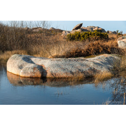 Tregastel-011