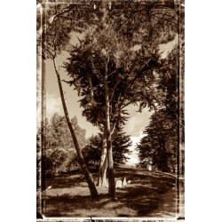 LeDourven-001